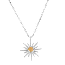 Laden Sie das Bild in den Galerie-Viewer, Colgante Estrella Polar Omamori Joyas