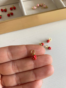 Variedad de Charms