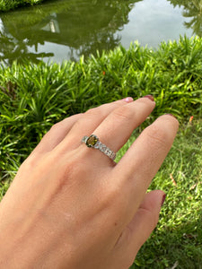 Anillo Spring  Kyoto